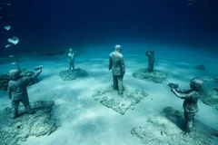 Concrete sculptures by Jason deCaires Taylor